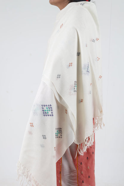 Swati Kadhi Handloom  Half White