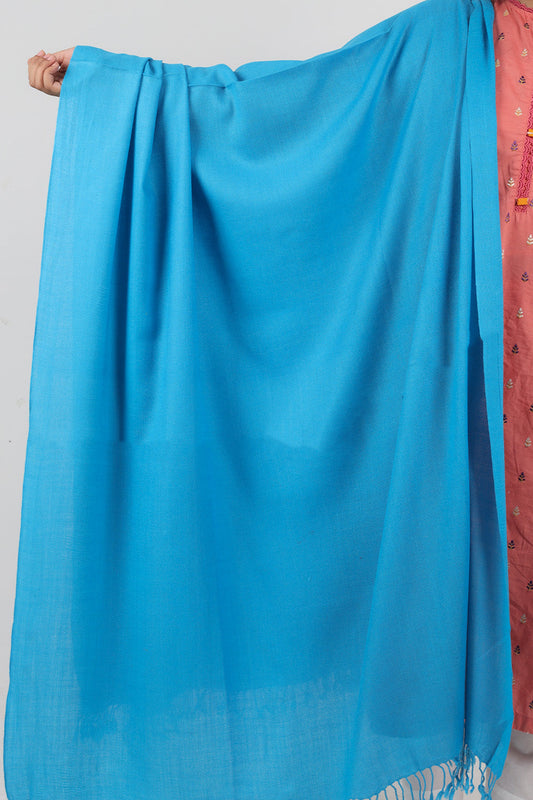 Swati Handloom Plain Sky Blue Shawl